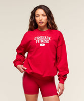 Varsity Graphic Pullover Conditioning Red