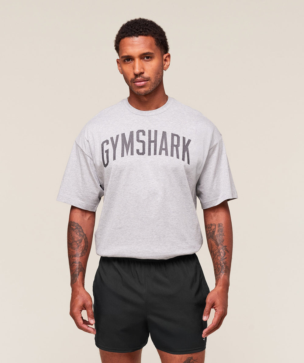 Worn Graphic T-Shirt Light Grey Core Marl
