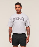 Worn Graphic T-Shirt Light Grey Core Marl
