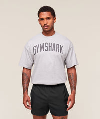 Worn Graphic T-Shirt Light Grey Core Marl