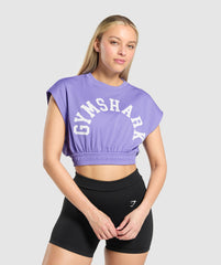 Mesh Graphic Crop Top Record Purple