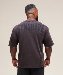 Heritage Washed T-Shirt Plum Brown
