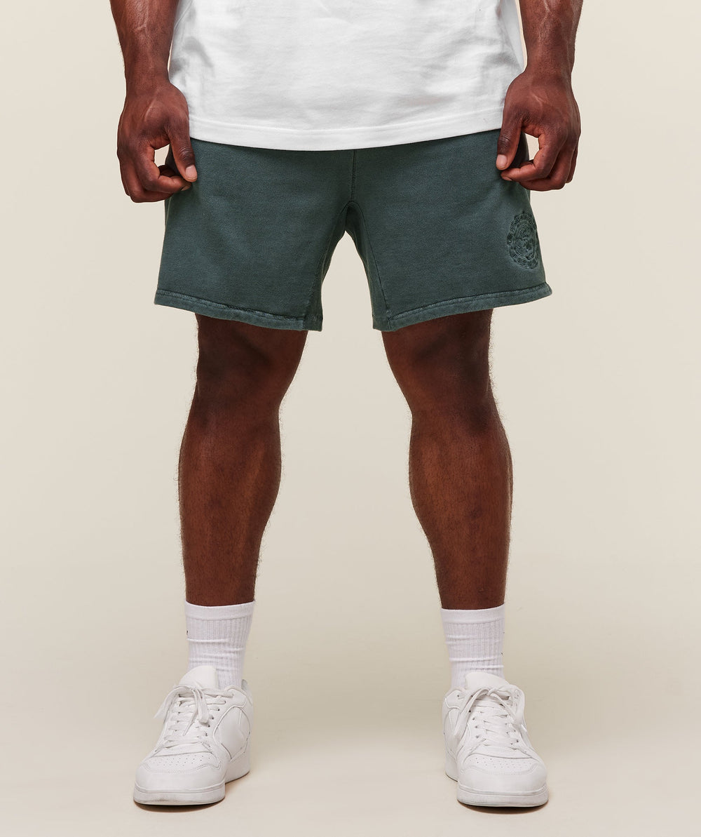 Premium Legacy Shorts Cargo Teal