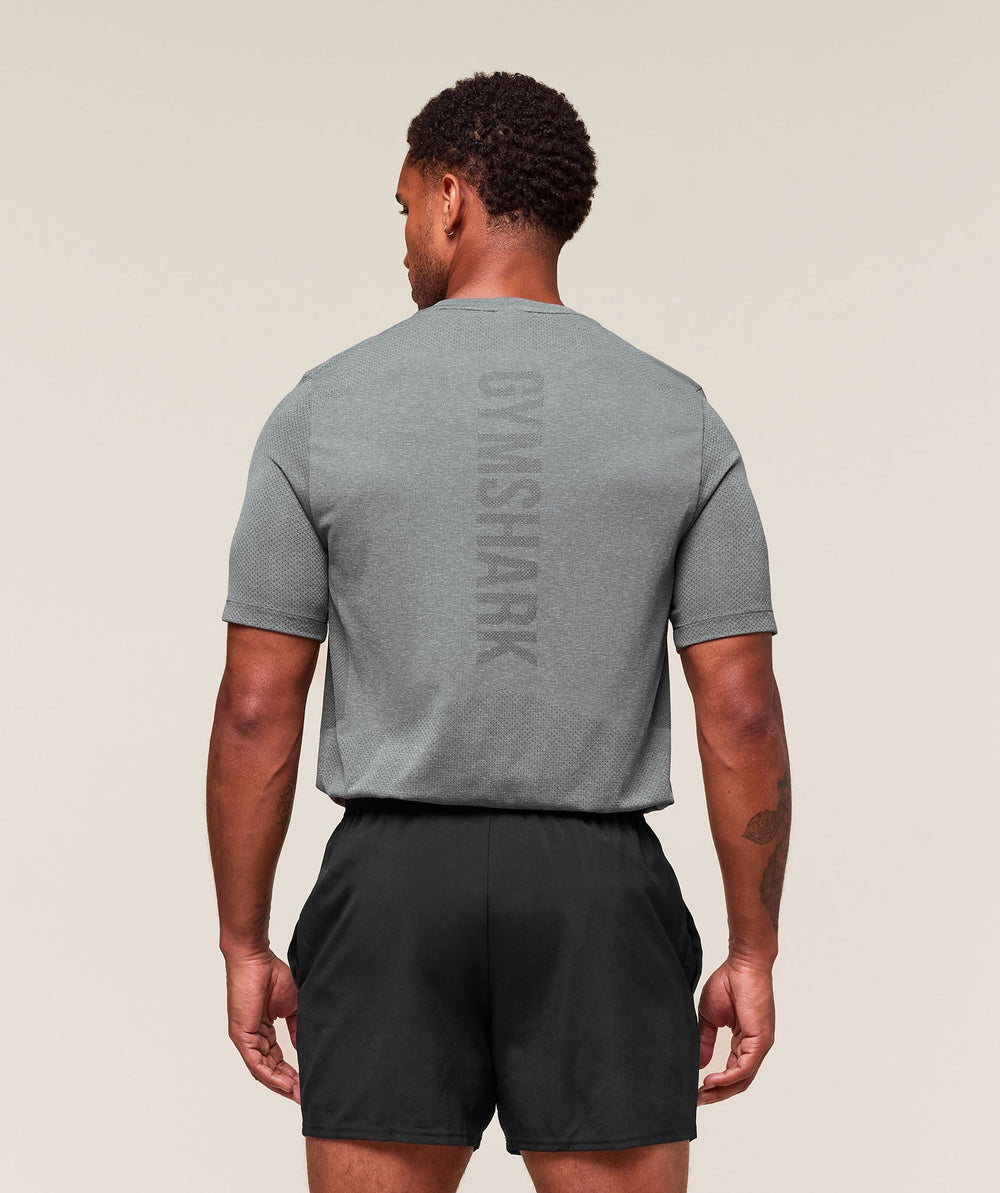 Lightweight Seamless T-Shirt Light Grey/Smokey Grey