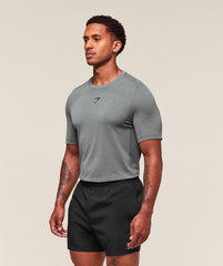 Lightweight Seamless T-Shirt Light Grey/Smokey Grey