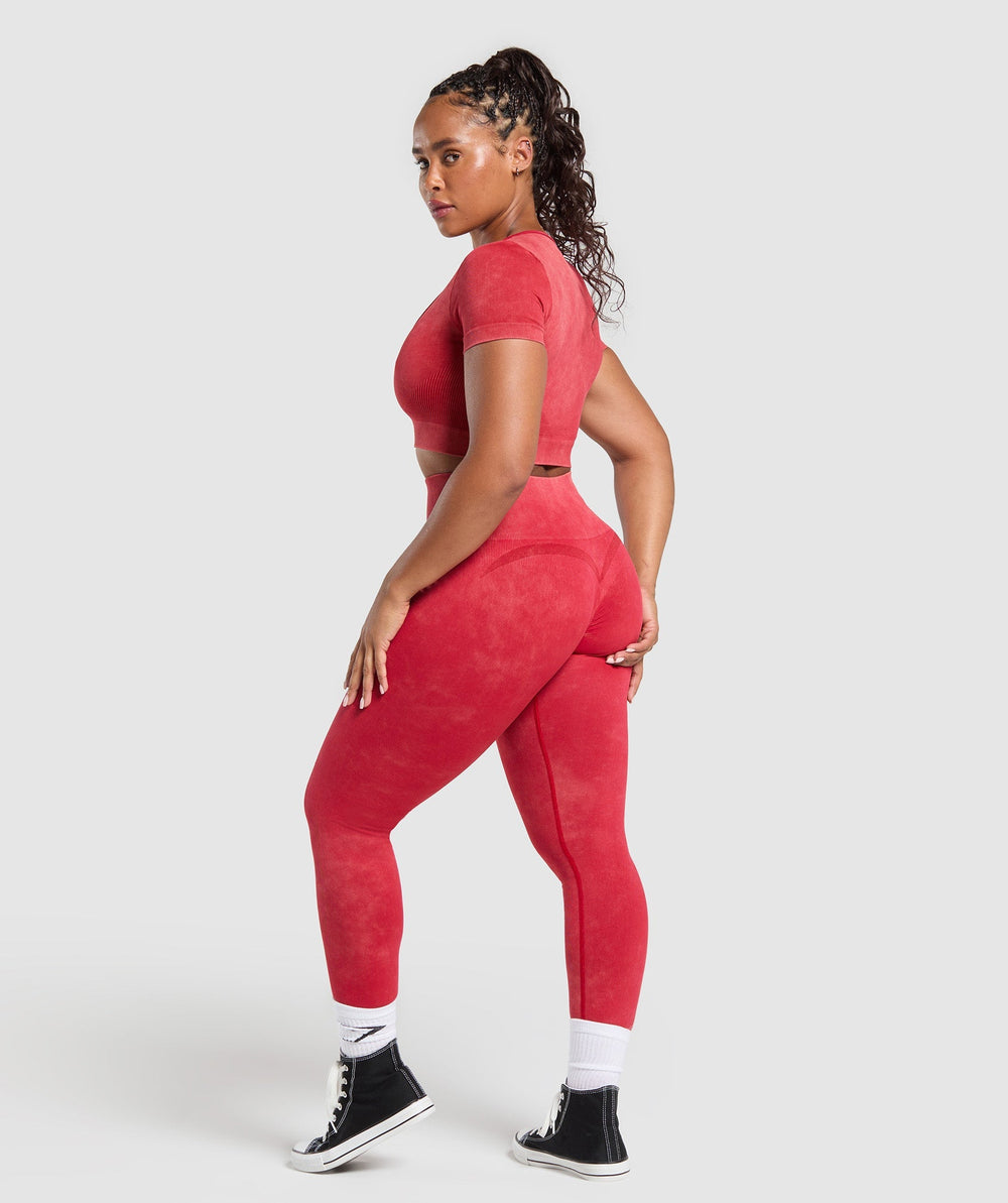 Gains Seamless Leggings Carmine Red