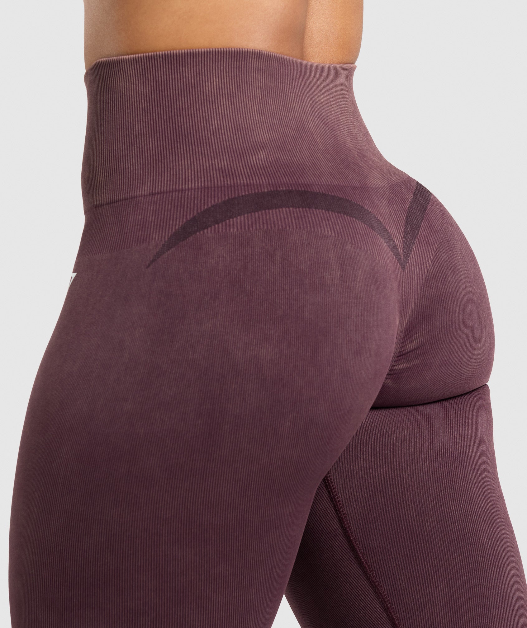 Gains Seamless Leggings Depth Purple
