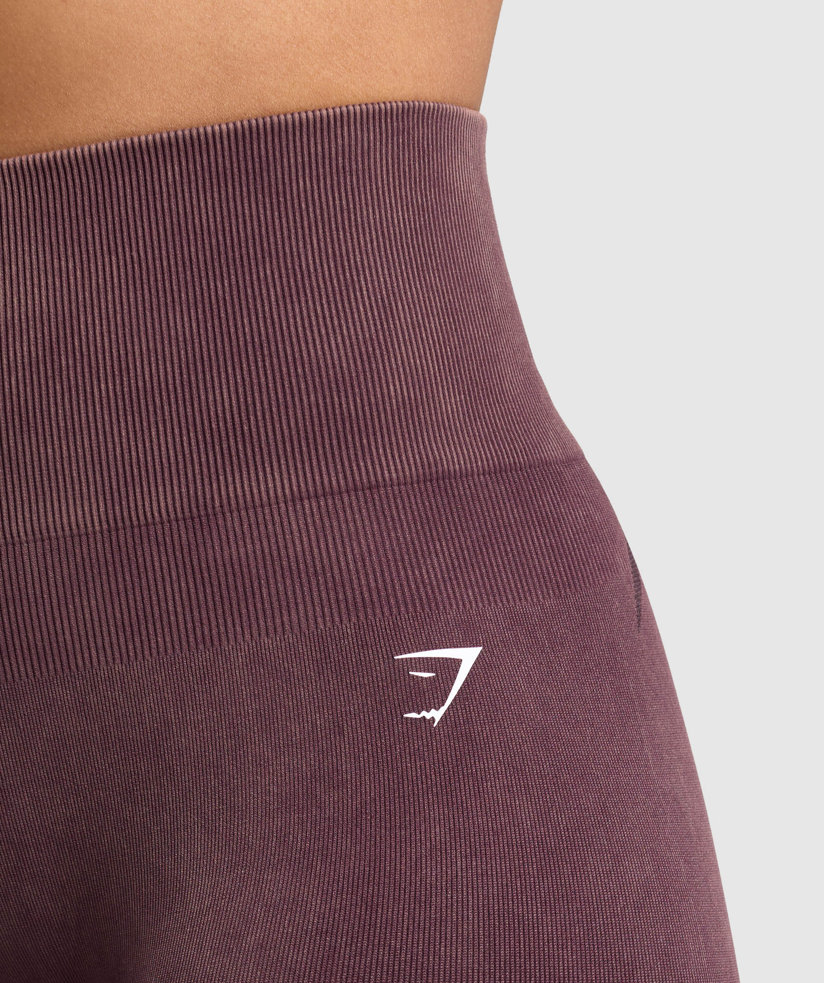 Gains Seamless Leggings Depth Purple