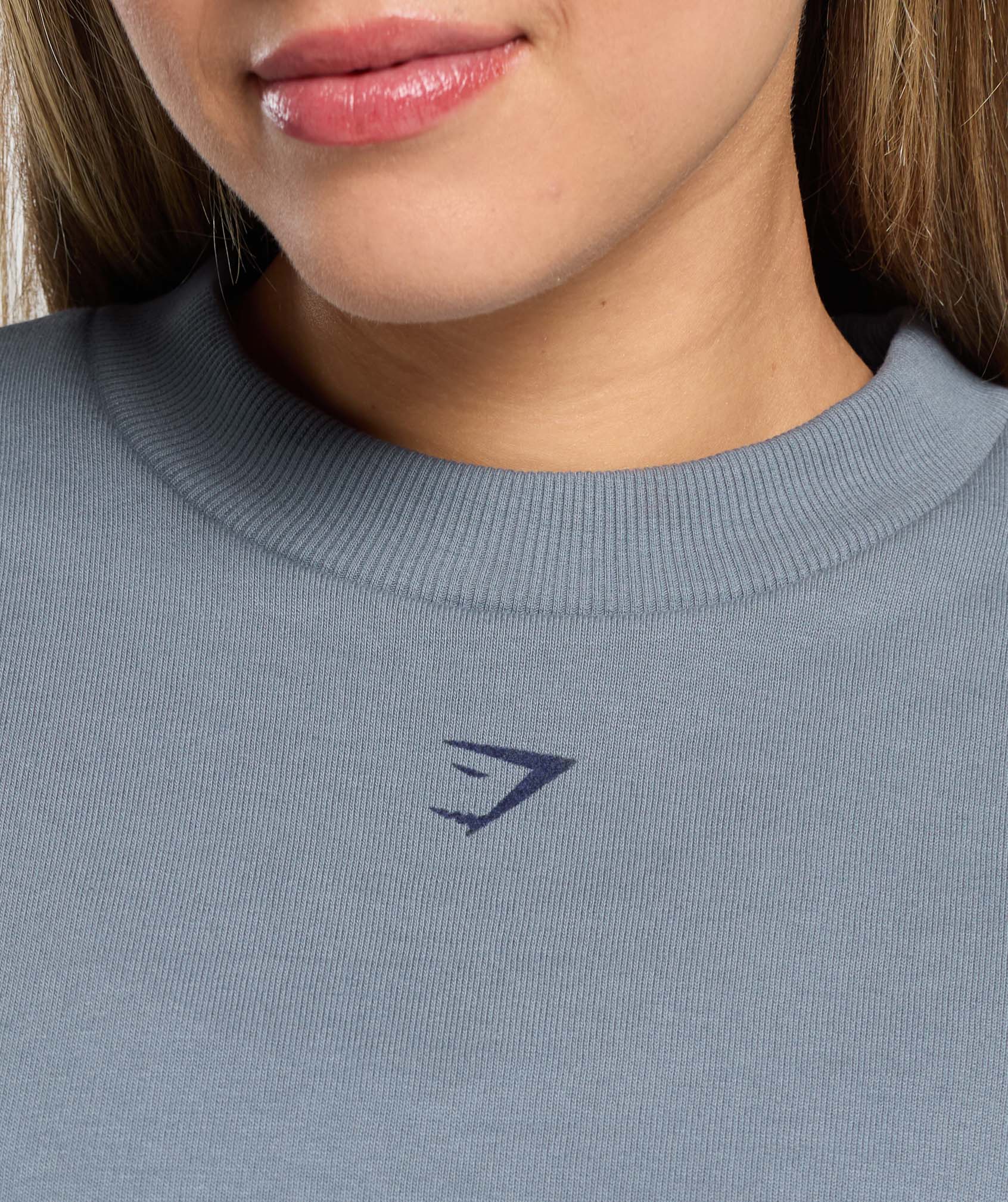 Campus Classics Graphic Sweatshirt Iron Blue