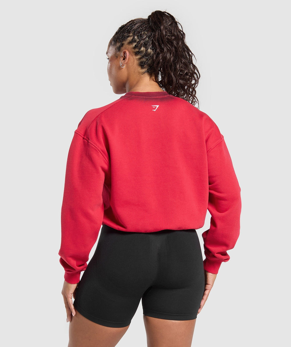 Gains Washed Loopback Crew Neck Conditioning Red/Sets Red