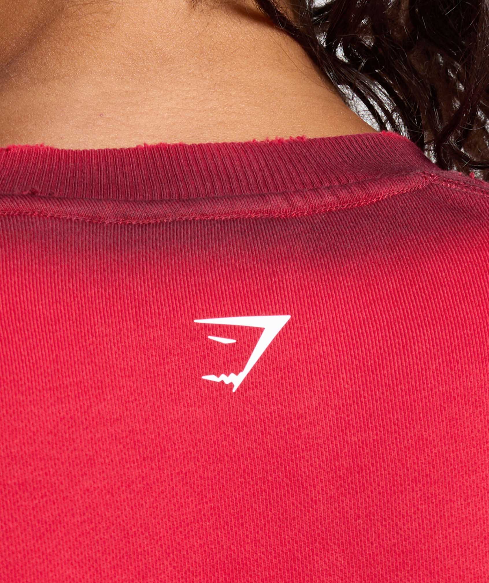 Gains Washed Loopback Crew Neck Conditioning Red/Sets Red