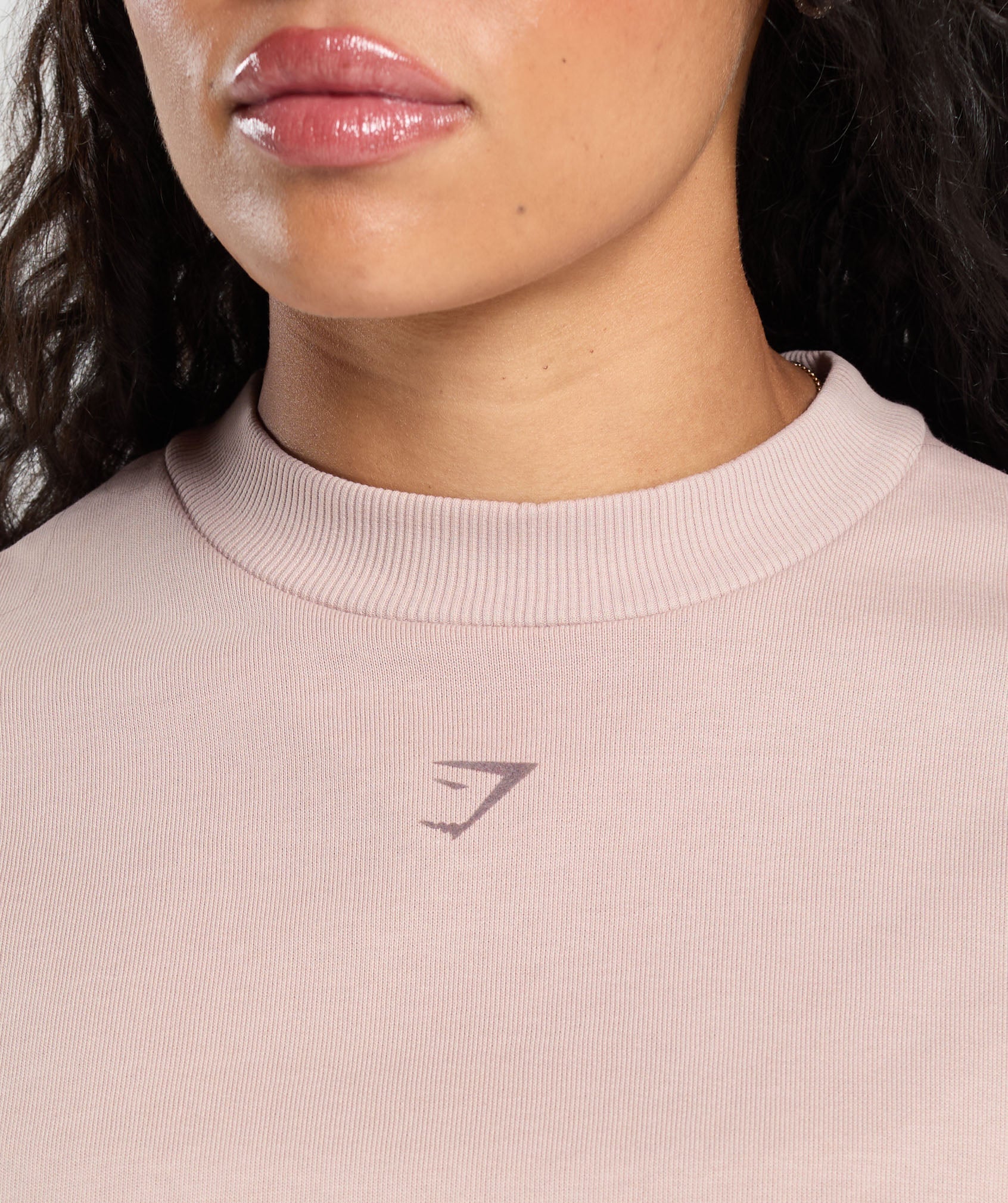 Campus Classics Graphic Sweatshirt Muted Pink