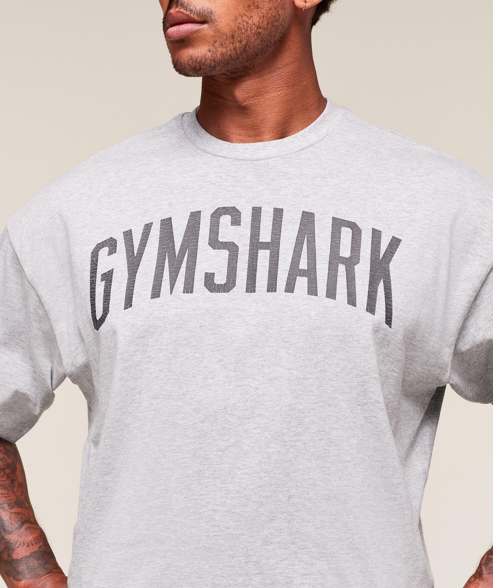 Worn Graphic T-Shirt Light Grey Core Marl