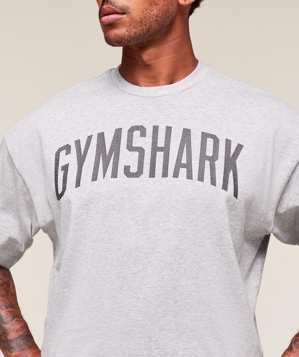 Worn Graphic T-Shirt Light Grey Core Marl