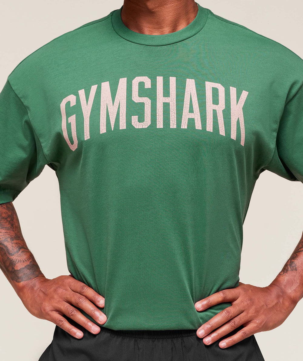 Worn Graphic T-Shirt Lift Green