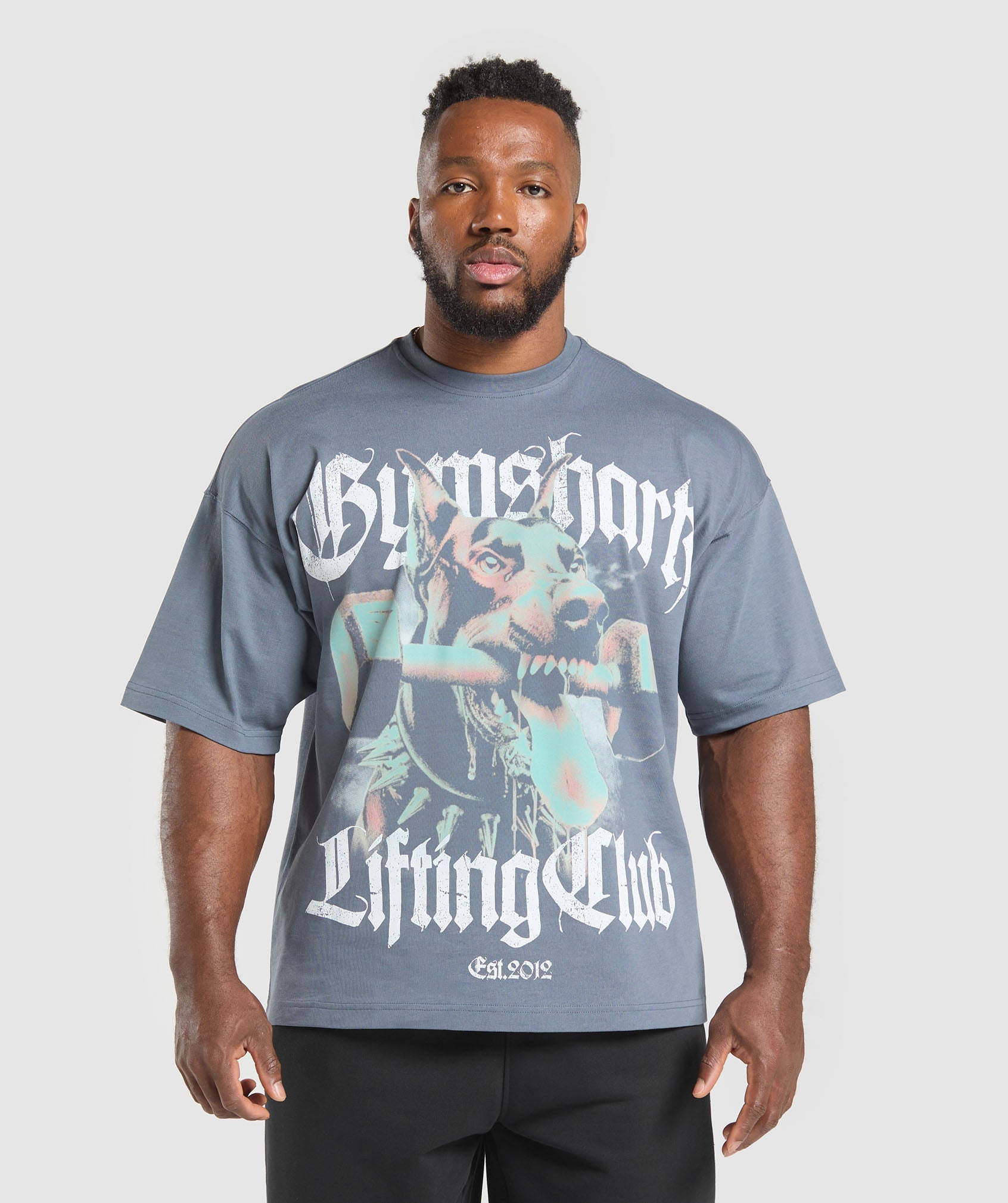 Doberman Graphic T-Shirt Iron Blue
