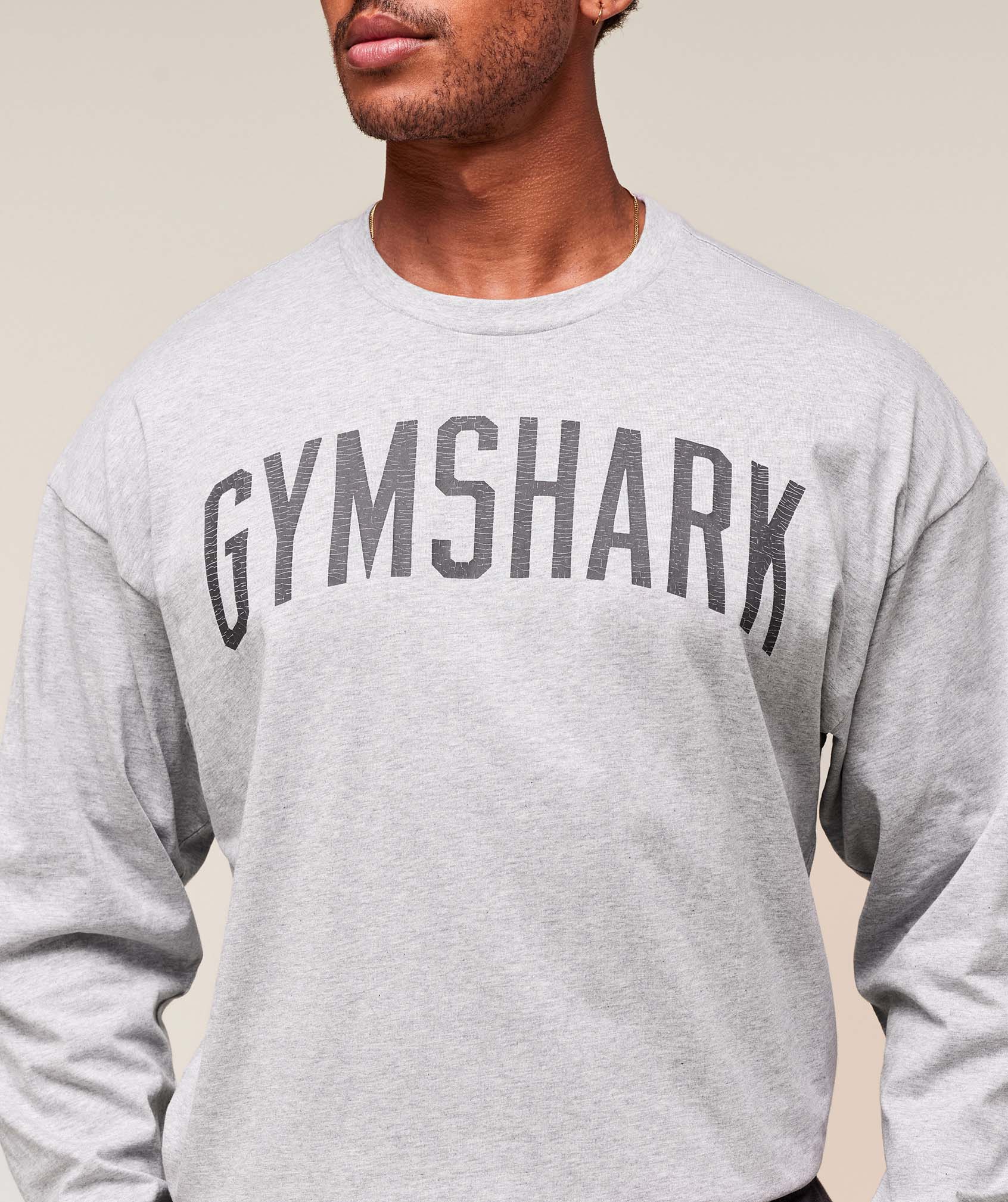 Worn Graphic Long Sleeve T-Shirt Light Grey Core Marl