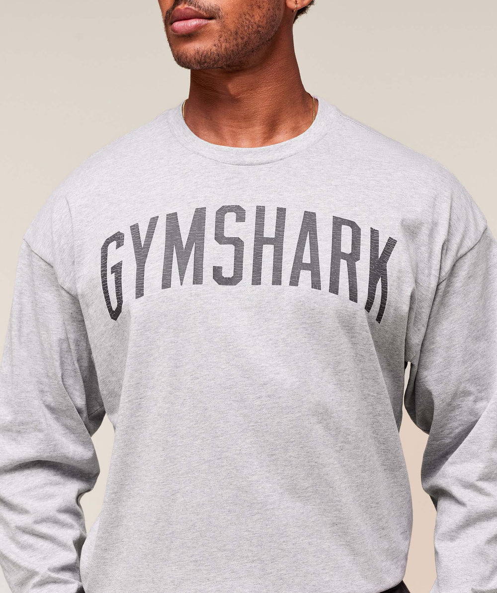 Worn Graphic Long Sleeve T-Shirt Light Grey Core Marl
