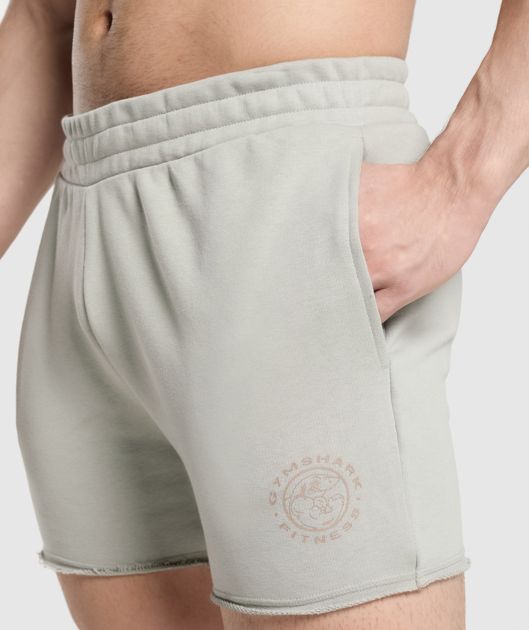 Legacy Shorts Stone Grey