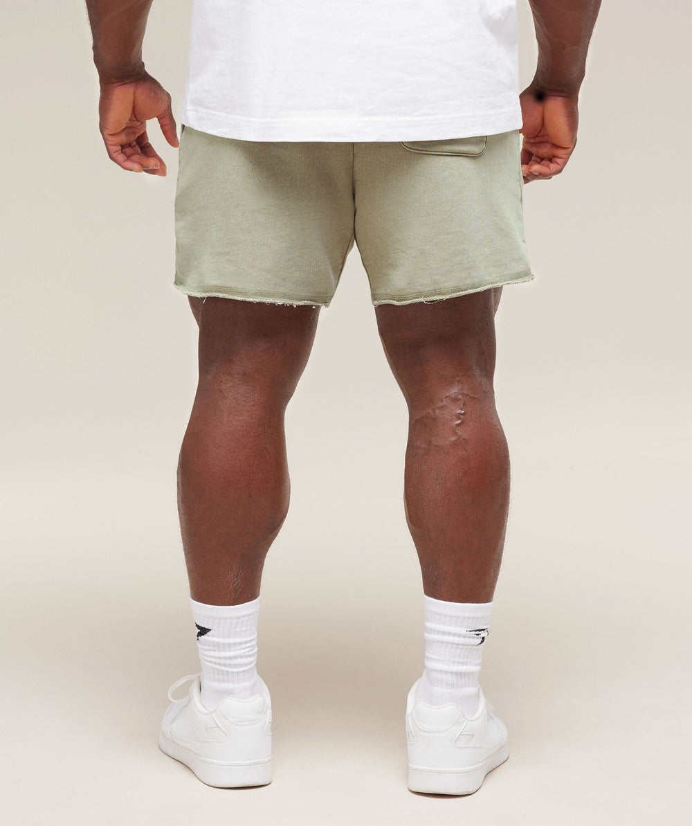 Heritage 5" Shorts Stone Grey