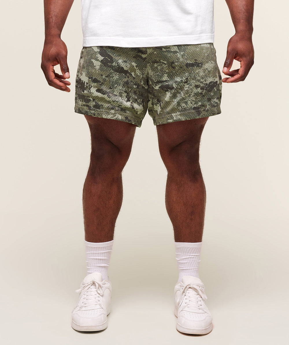Lifting Mesh 5" Shorts Chalk Green