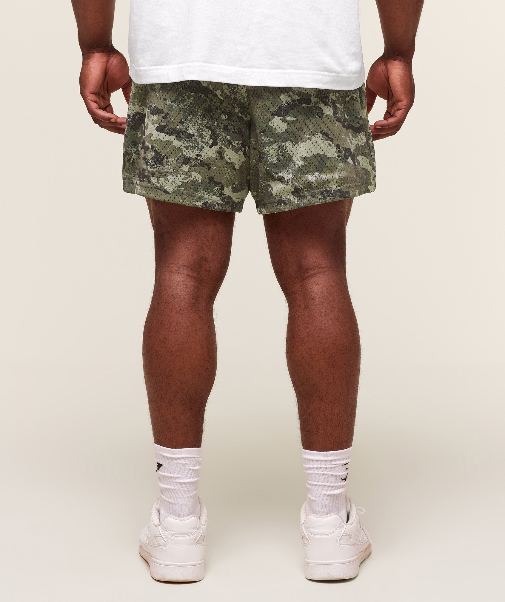 Lifting Mesh 5" Shorts Chalk Green