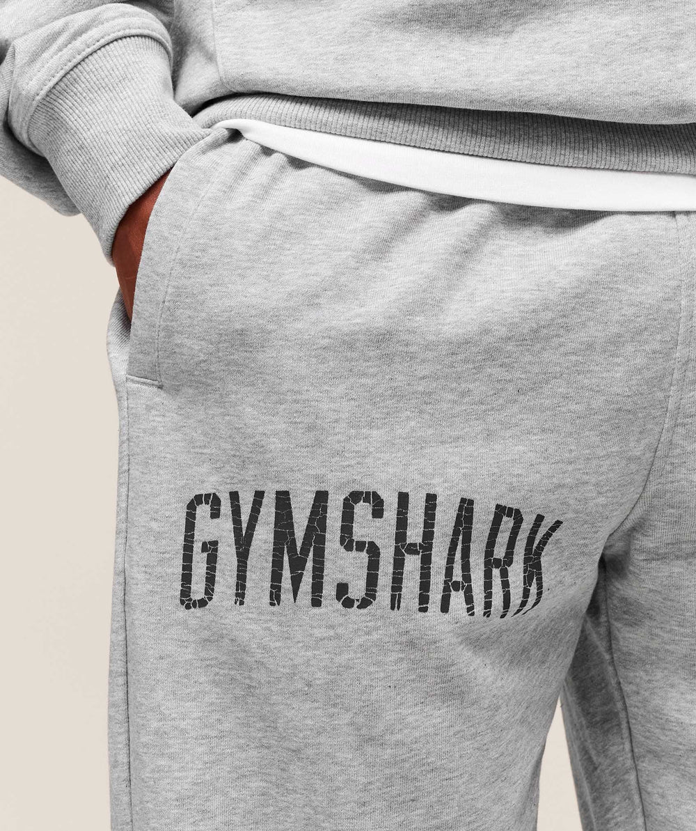 Worn Graphic Jogger Light Grey Core Marl
