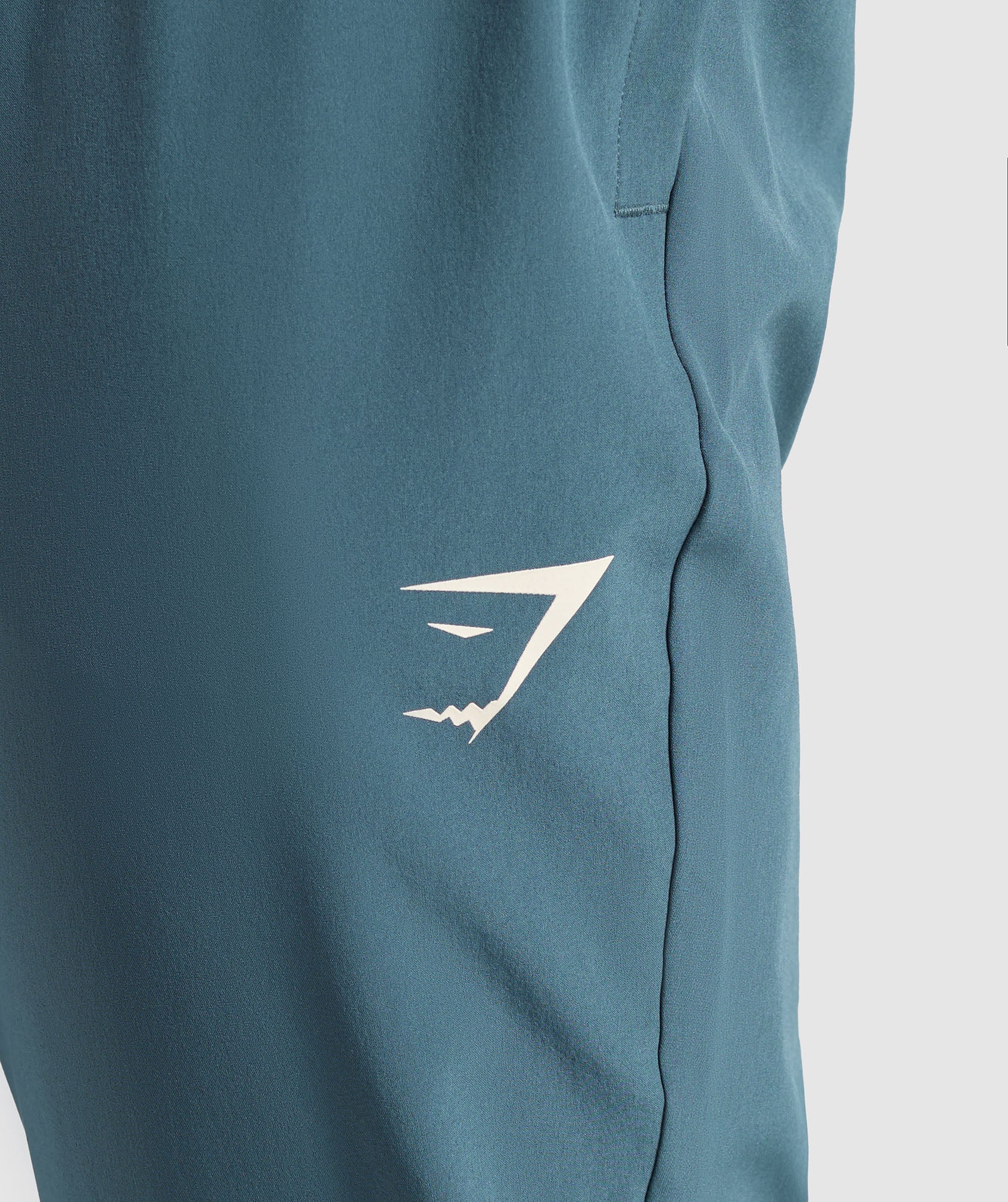 Script Woven Joggers Cargo Blue