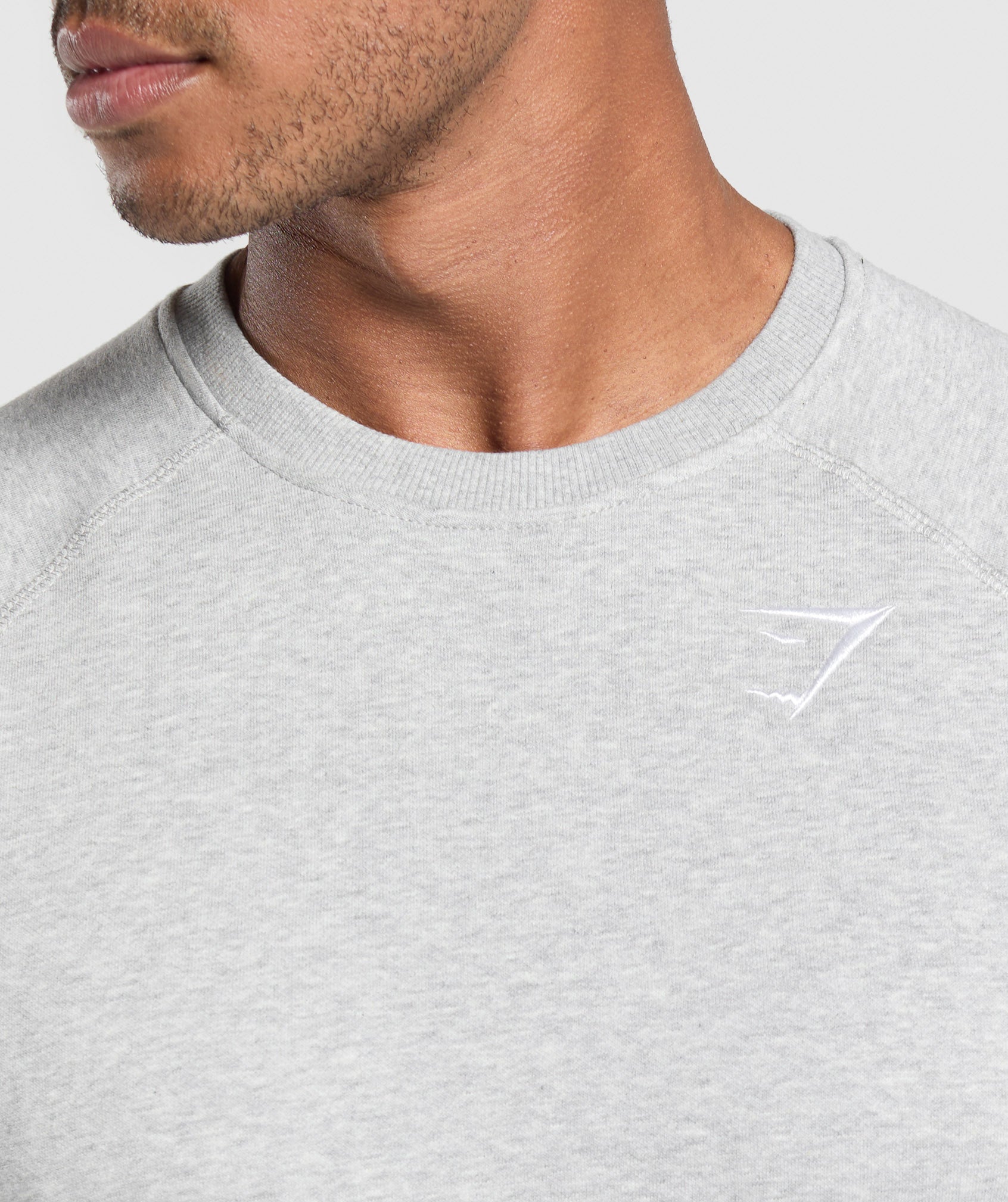 Crest Sweatshirt Light Grey Marl