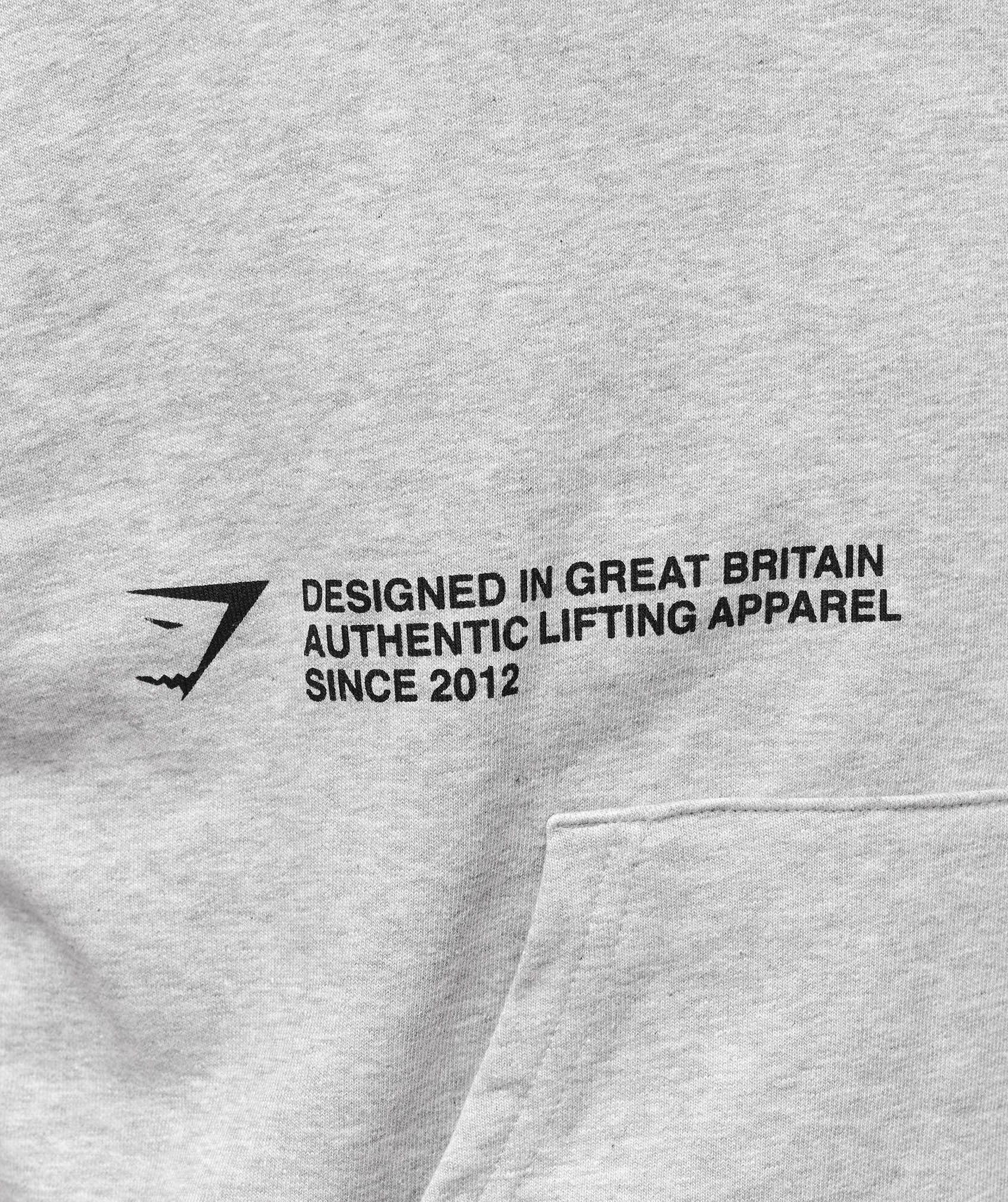 Authentic Lifting Apparel Hoodie Light Grey Core Marl