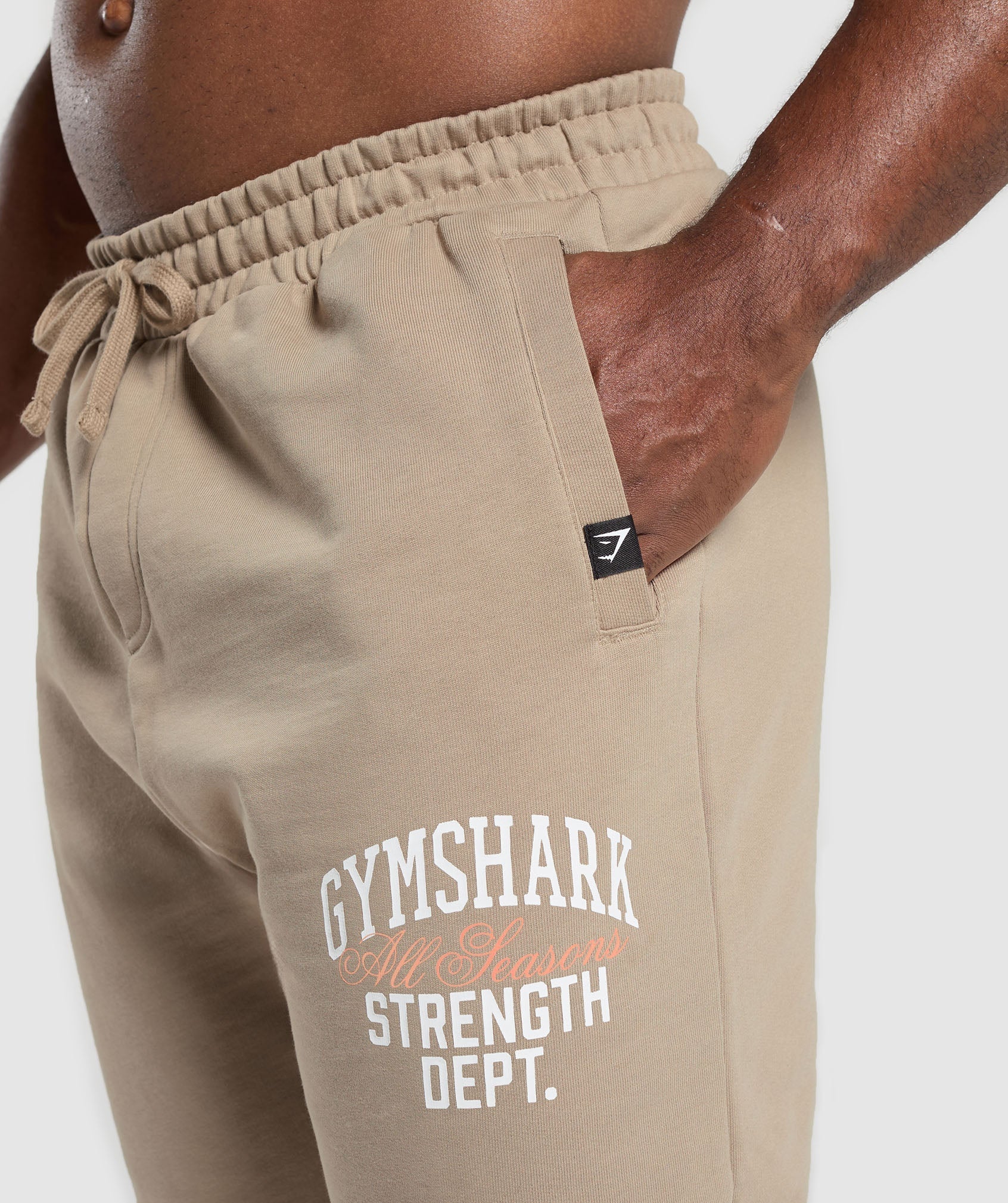 Trophy Graphic Joggers Cement Brown