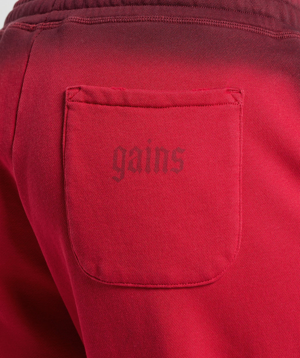 Gains Washed Loopback Joggers Red