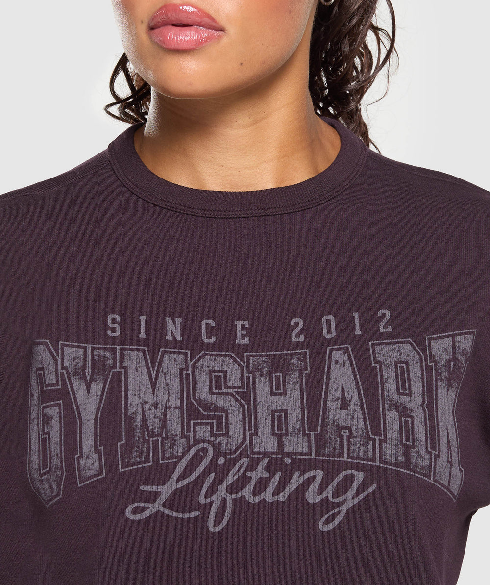 Lifting Oversized Pump Cover Plum Brown