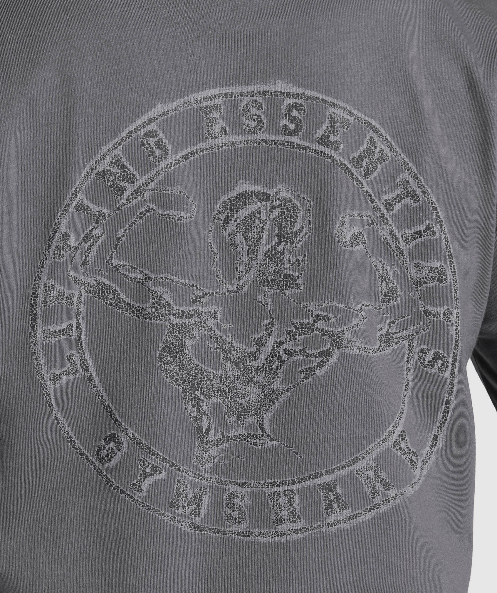 Back Gains Graphic Oversized Tee Graphite Grey
