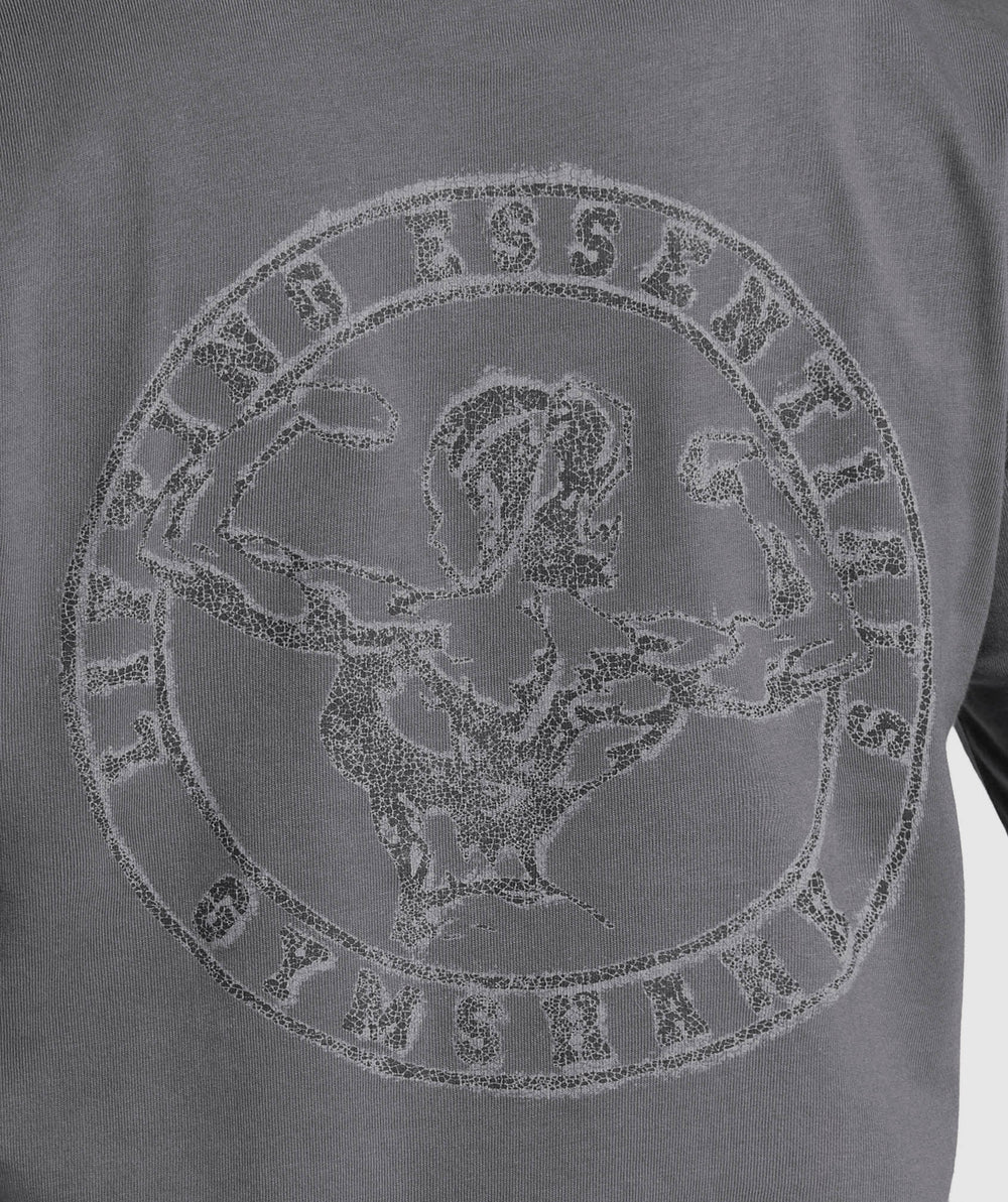 Back Gains Graphic Oversized Tee Graphite Grey