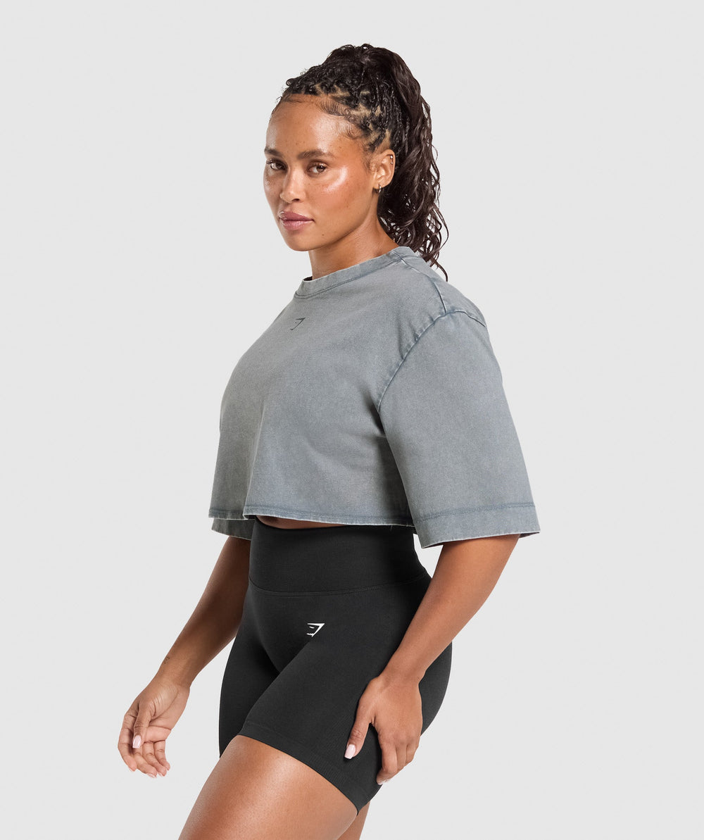GSLC Washed Graphic Crop Top Iron Blue