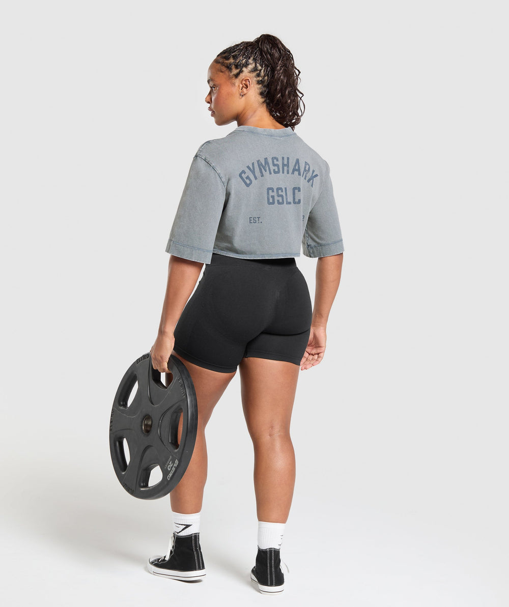 GSLC Washed Graphic Crop Top Iron Blue
