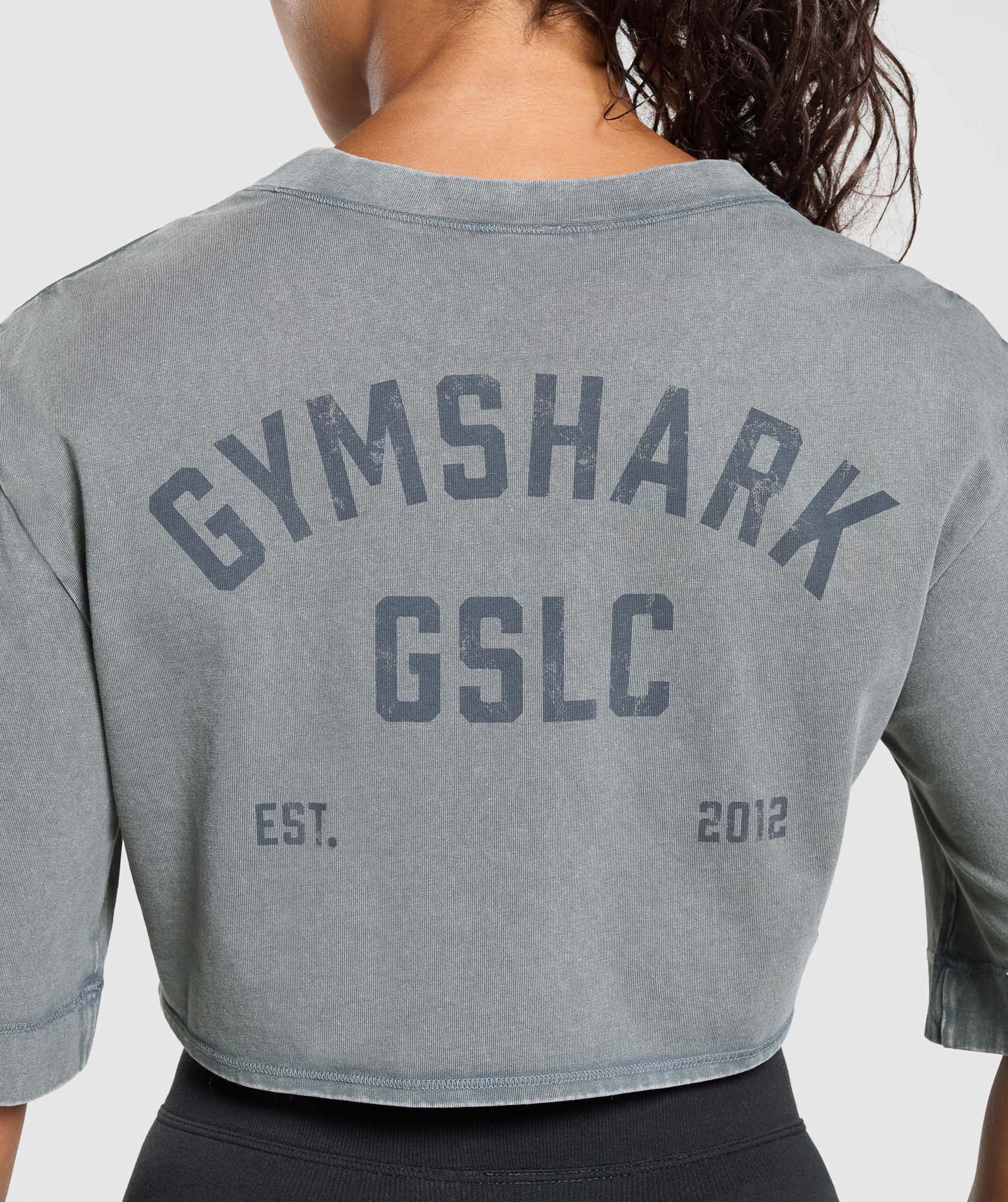 GSLC Washed Graphic Crop Top Iron Blue