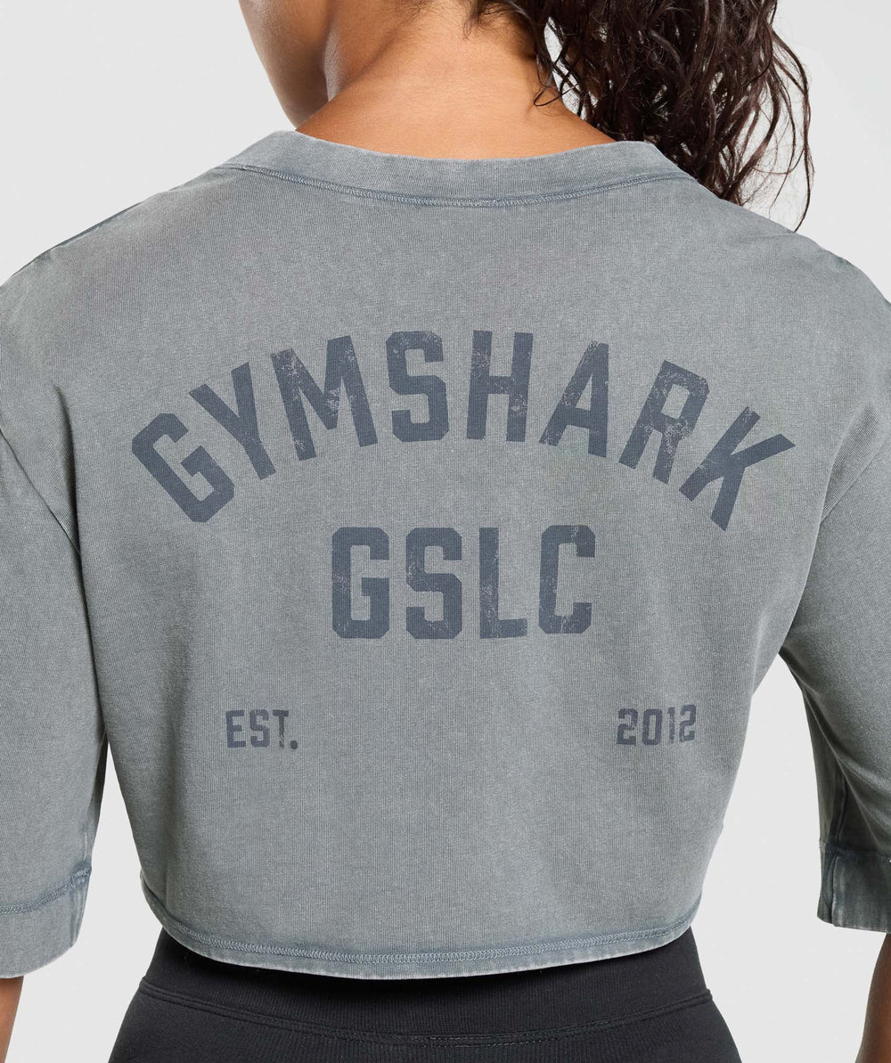 GSLC Washed Graphic Crop Top Iron Blue