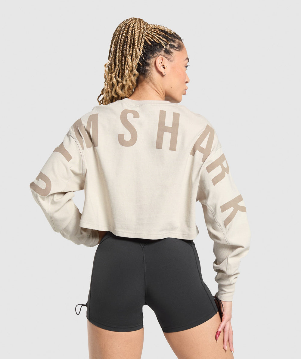 Wordmark Graphic Long Sleeve Top Pebble Grey