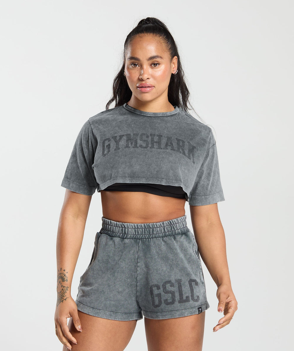 Collegiate Shadow Washed Crop Top Asphalt Grey