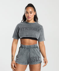 Collegiate Shadow Washed Crop Top Asphalt Grey
