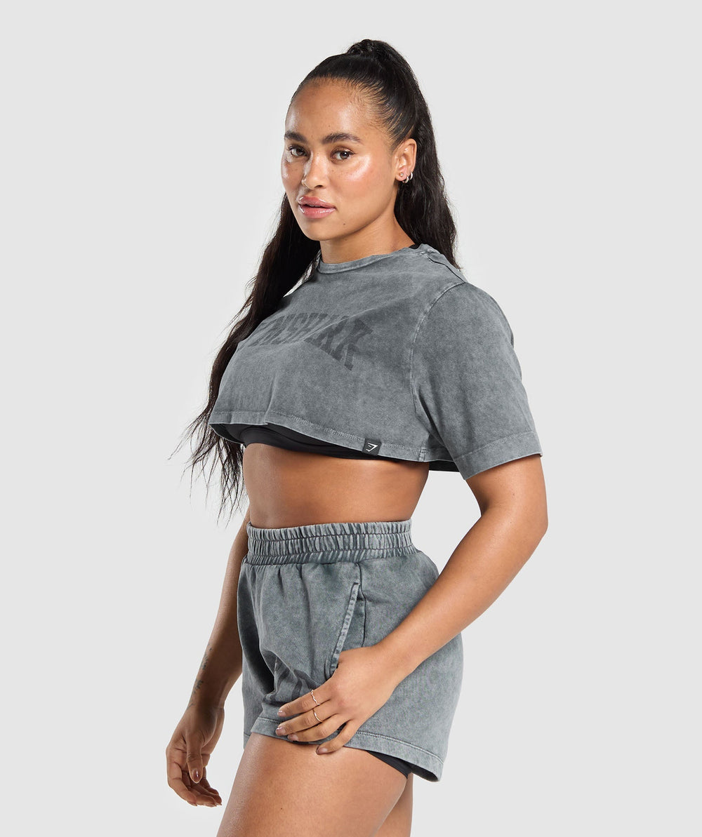Collegiate Shadow Washed Crop Top Asphalt Grey