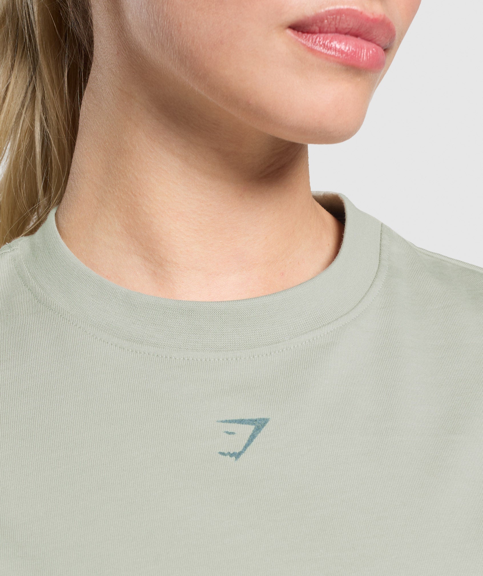 Campus Classics Graphic T-Shirt Stone Grey