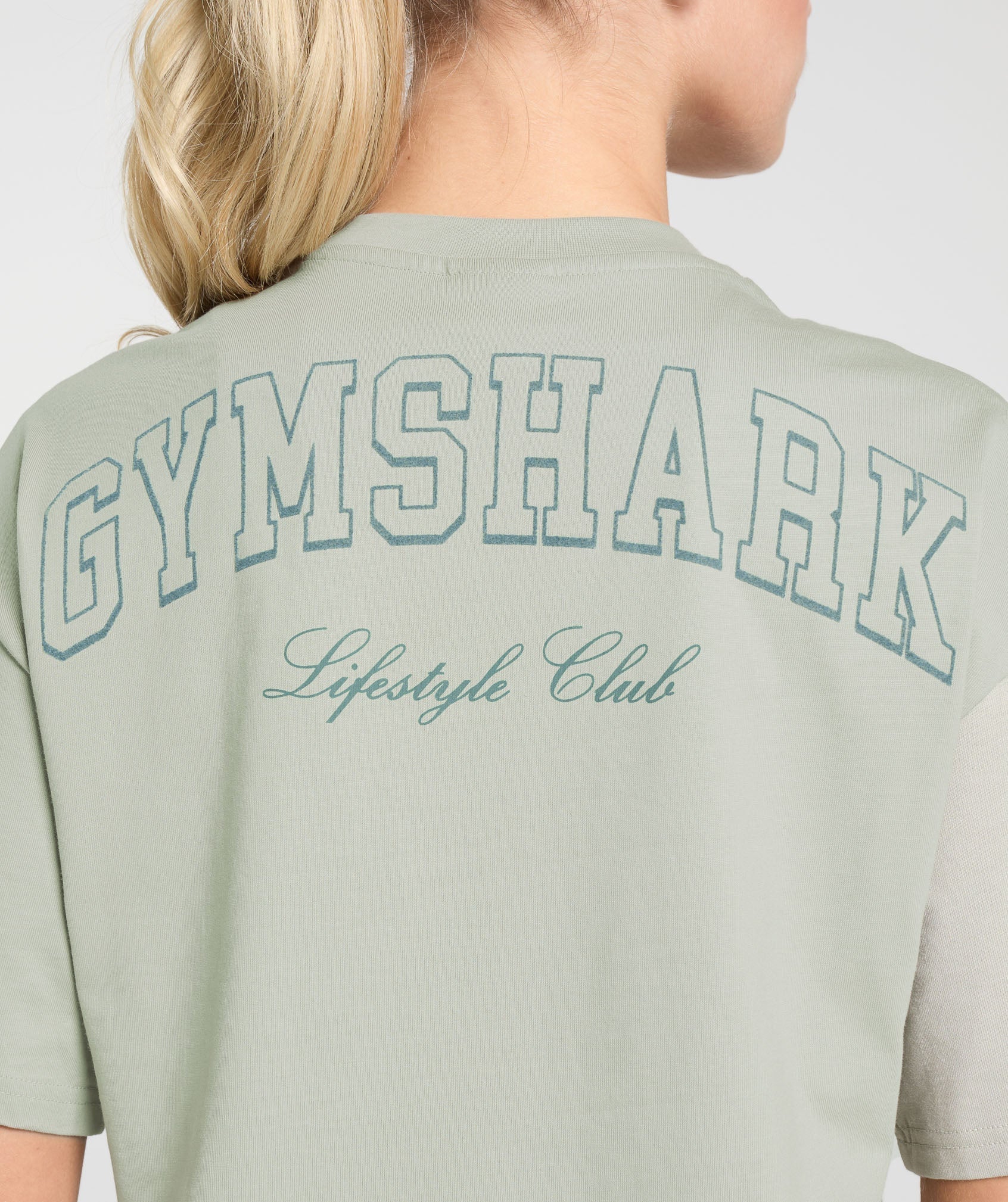 Campus Classics Graphic T-Shirt Stone Grey