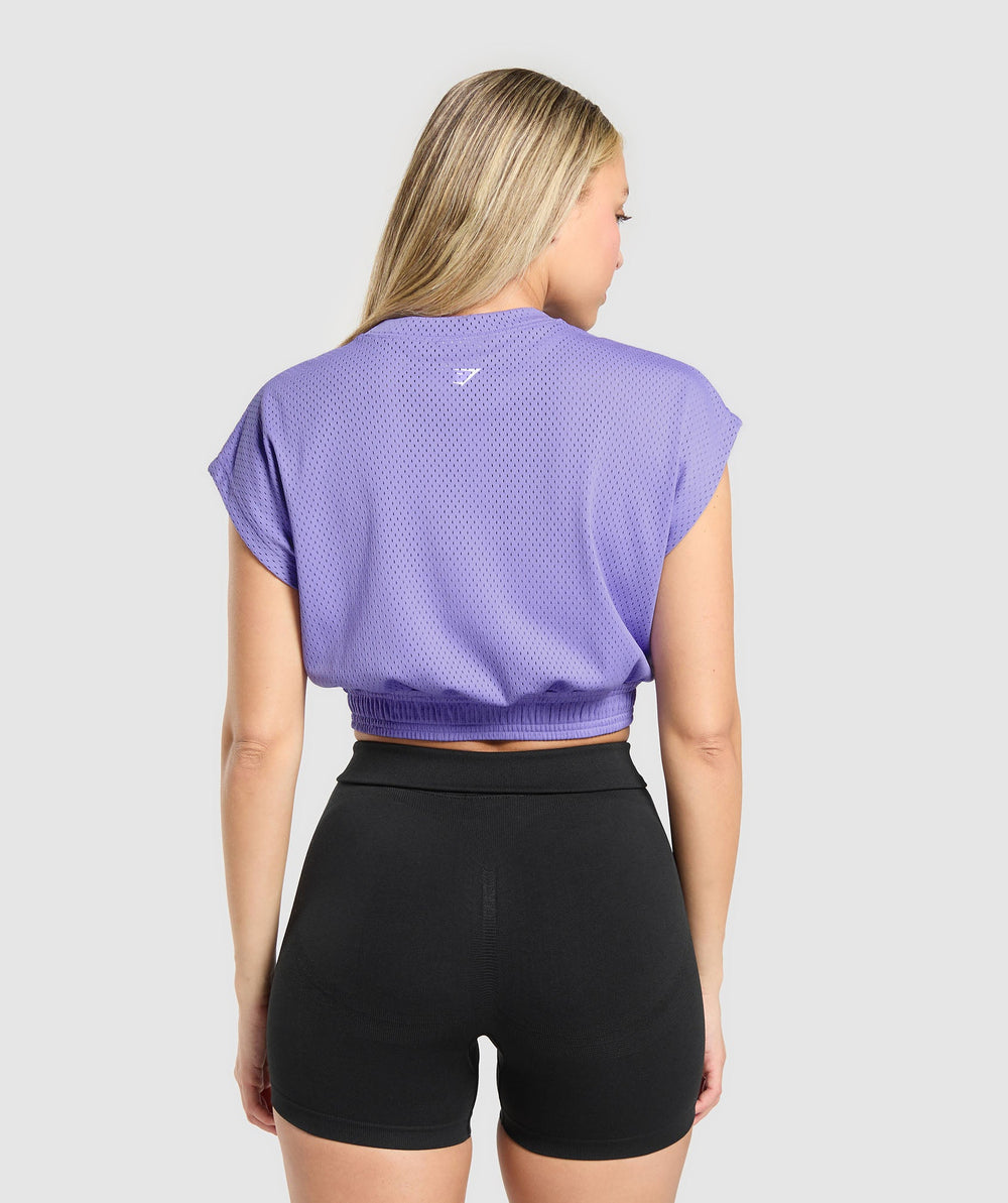 Mesh Graphic Crop Top Record Purple