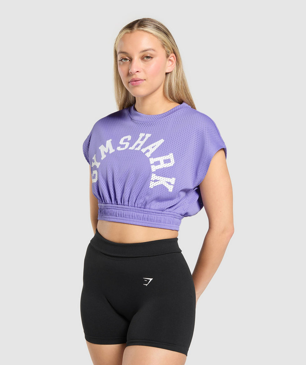 Mesh Graphic Crop Top Record Purple