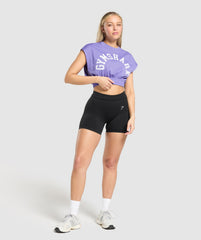 Mesh Graphic Crop Top Record Purple