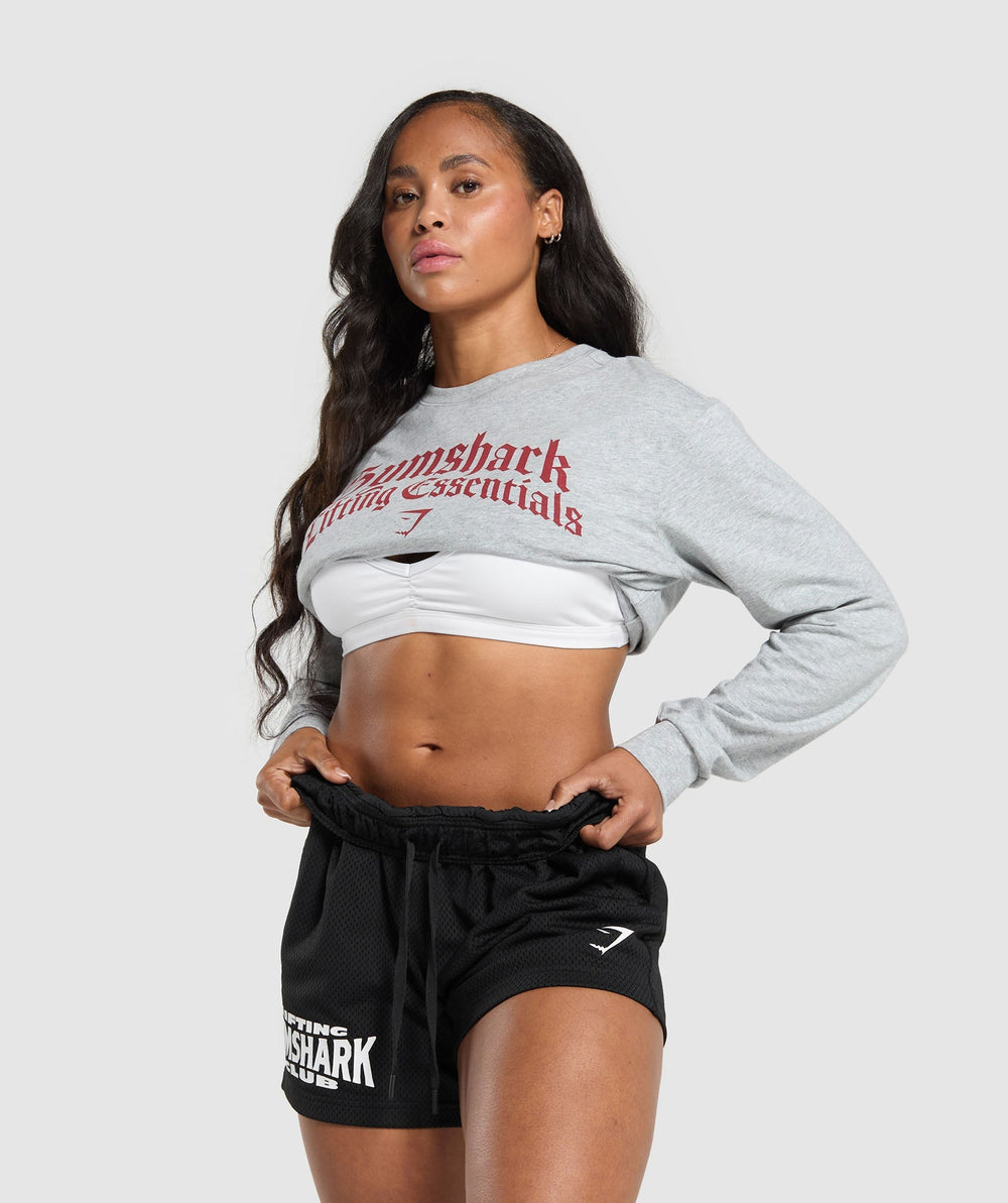 Lifting Essentials Long Sleeve Top Light Grey Core Marl