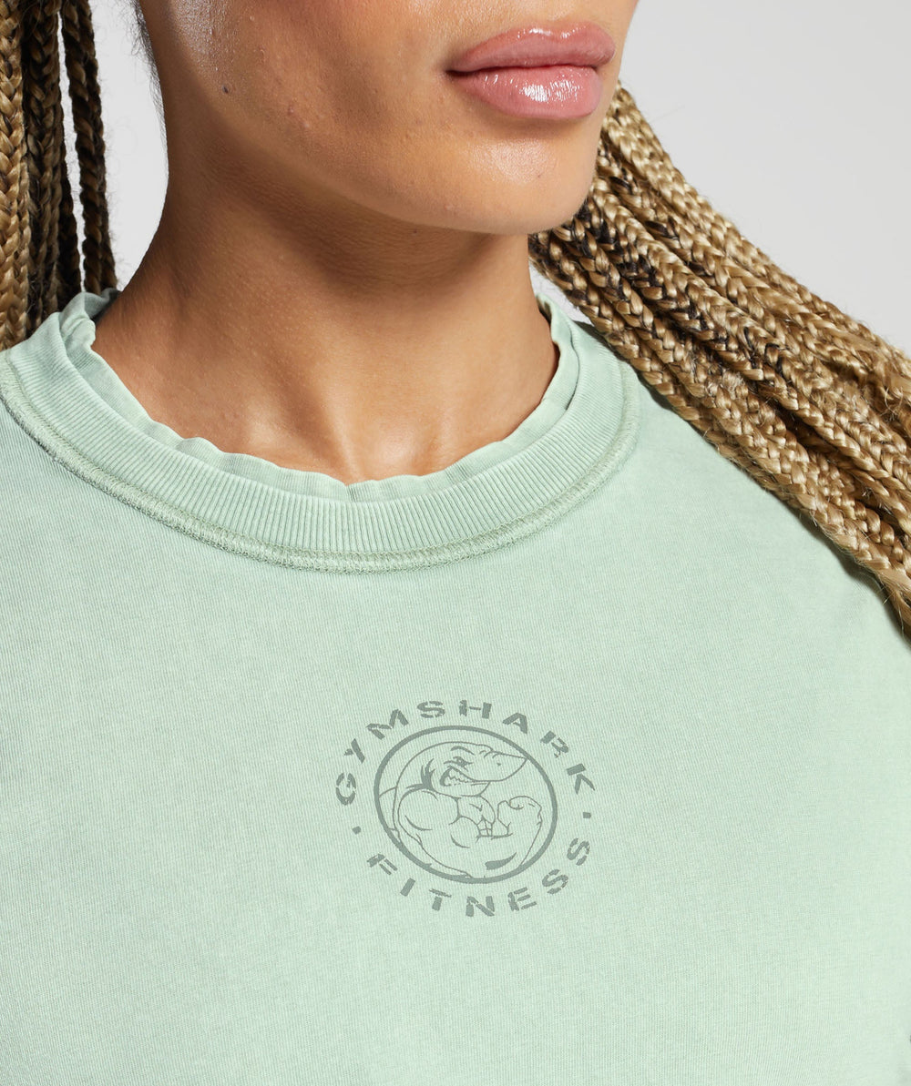Legacy Washed Crop Top Faded Green